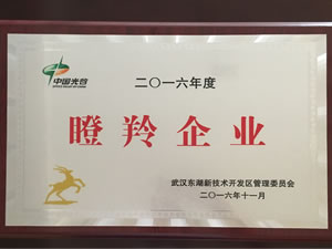武汉Z6·尊龙凯时光电入选光谷2016年“瞪羚企业”